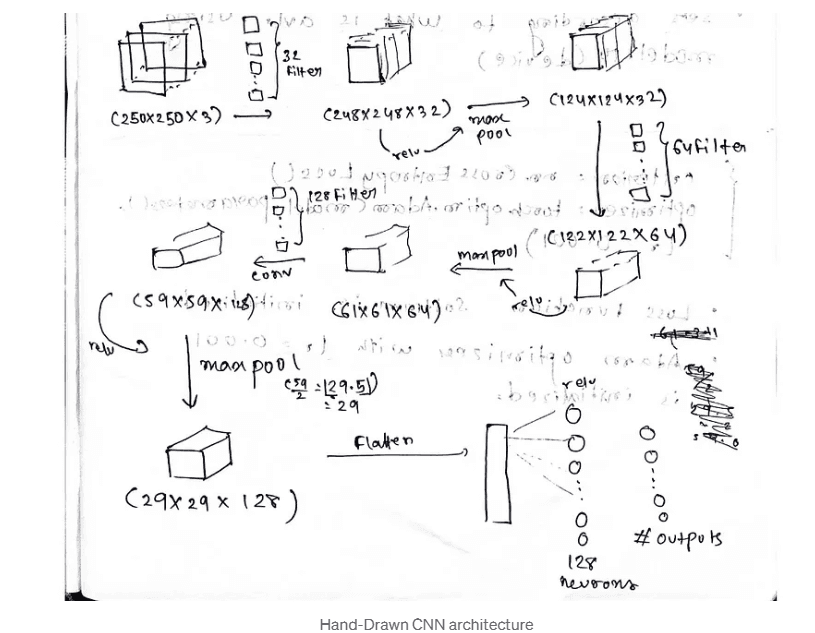 Rice Classification with PyTorch